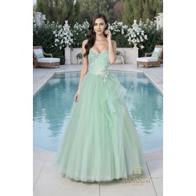 Terani 261P6197 Heart-Shaped Mesh Ballevening Wear