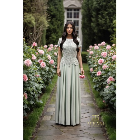 Terani 261M6437 High Round Neck Chiffon Flared Formal Gown With Cap Sl