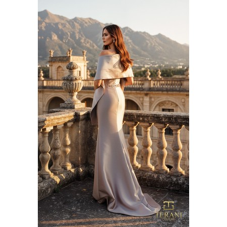 Terani 261M6462 Asymmetric One-Shoulder Mikado Fit And Flare Formal Ev