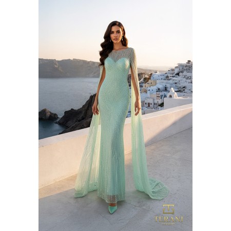 Terani 261M6471 Illusion Neck Jeweled Mesh Column Evening Wear With Sh