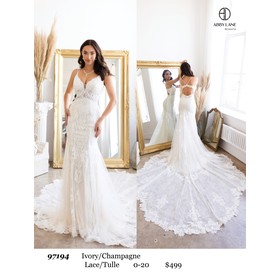 Abby Paris AP-97194 Delicate Mesh Evening Wear Style 9719