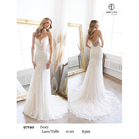 Abby Paris AP-97192 Delicate Mesh Formal Gown Style 9719