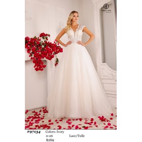 Abby Paris AP-97134 Delicate Mesh Formal Gown