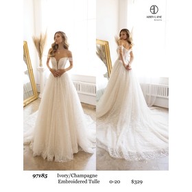 Abby Paris AP-97185 Ornate Tulle Gown Style 9718