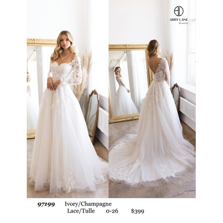 Abby Paris AP-97199 Lace Sheer Overlay Gown Style 9719