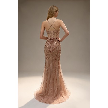 Lucci Lu LL-1448 Mesh Formal Evening Gown