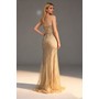 Lucci Lu LL-1448 Mesh Formal Evening Gown