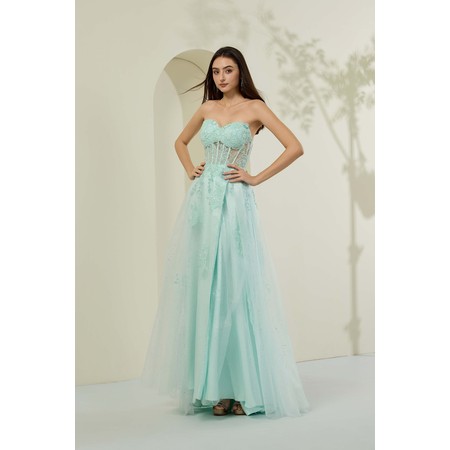Lucci Lu LL-1476 Detailed Tulle Gown Style 1476