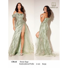 Lucci Lu LL-C8116 Detailed Tulle Gown Style C811